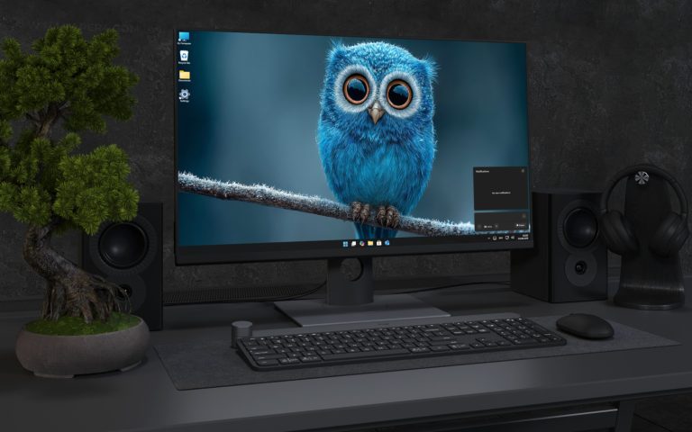 Desktop Wallpaper 2619 - Cute Blue Owl on Frosty Branch Wallpaper