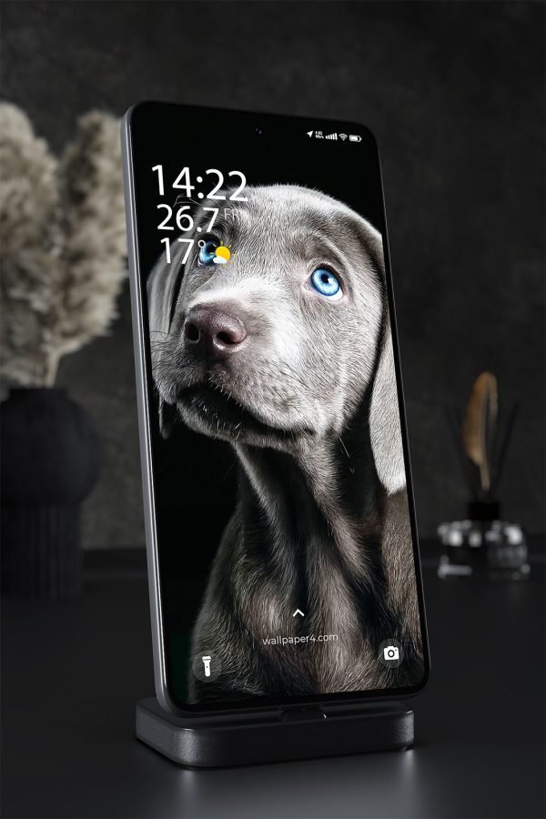 Phone Wallpaper 2472 - Blue Eyed Puppy Portrait in Dark Minimal Style