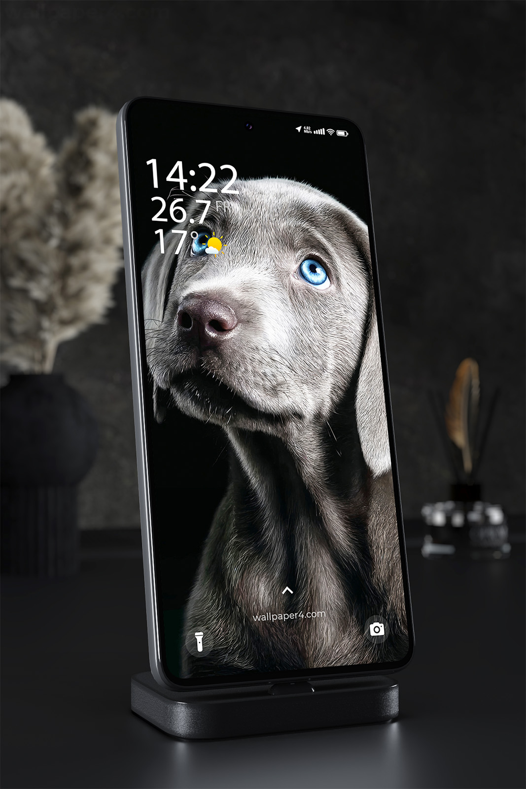 Phone Wallpaper 2472 - Blue Eyed Puppy Portrait in Dark Minimal Style