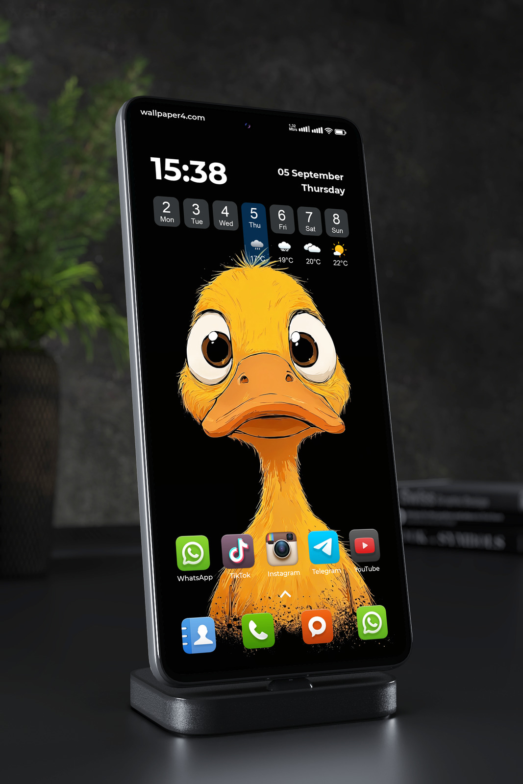 Mobile Wallpaper 2719 - Funny Cartoon Ostrich with Big Eyes Portrait