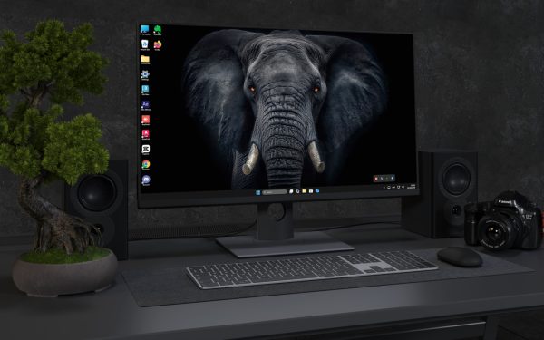Desktop Wallpaper 3046 - Majestic Dark Elephant Portrait 4K Wallpaper Art