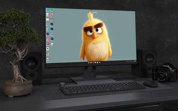 Desktop Wallpaper 3245 - Cute Fluffy Yellow Chick 4K Desktop Wallpaper