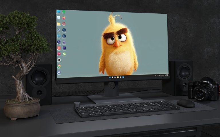 Desktop Wallpaper 3245 - Cute Fluffy Yellow Chick 4K Desktop Wallpaper