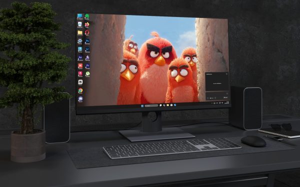 Desktop Wallpaper 3281 - Curious Red Birds 4K Cartoon Desktop Wallpaper