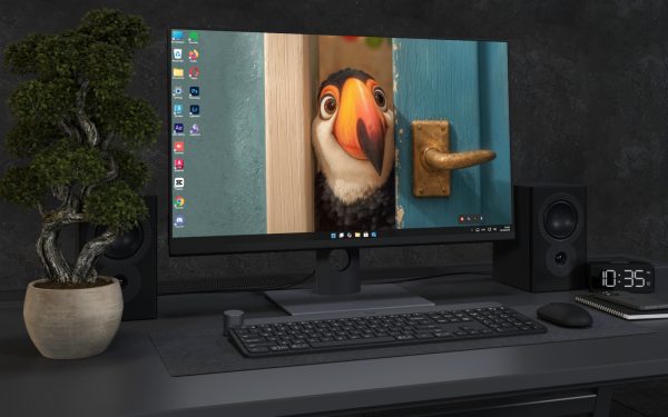 Desktop Wallpaper 3293 - Curious Toucan Behind Blue Door Wallpaper