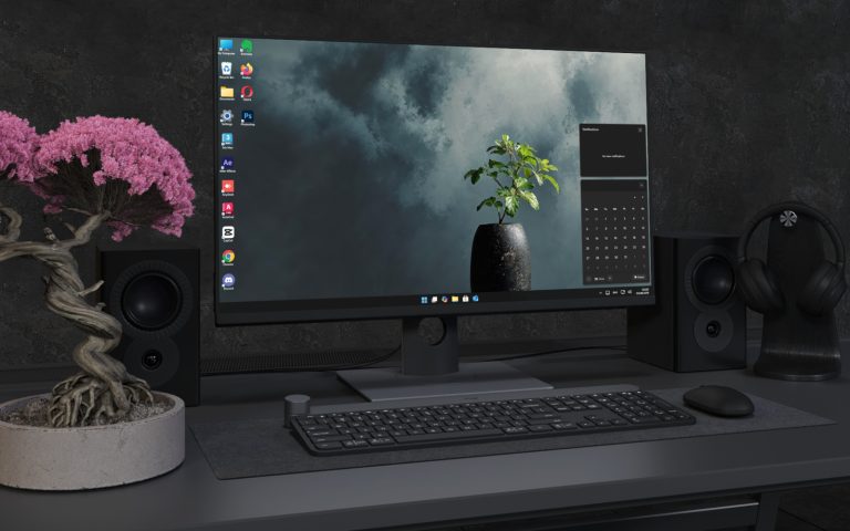 Desktop Wallpaper 3366 - Minimal Green Plant in Black Vase 4K Wallpaper