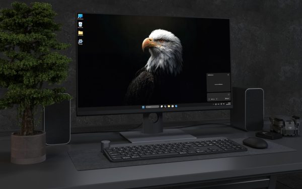 Desktop Wallpaper 3421 - Majestic Bald Eagle Dark 4K Desktop Wallpaper