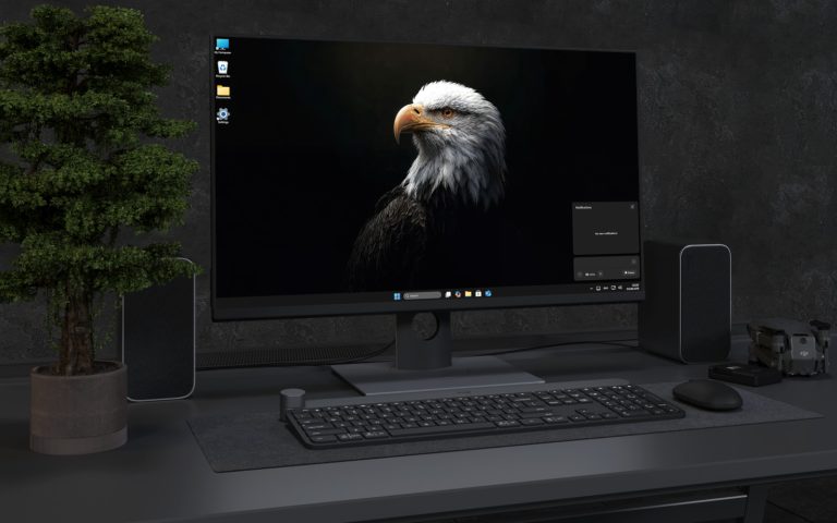 Desktop Wallpaper 3421 - Majestic Bald Eagle Dark 4K Desktop Wallpaper