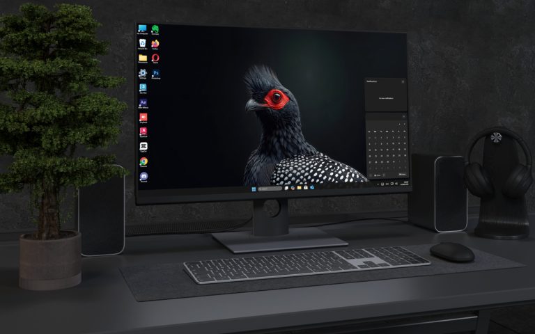 Desktop Wallpaper 3612 - Black Crested Guineafowl Dark 4K Wallpaper