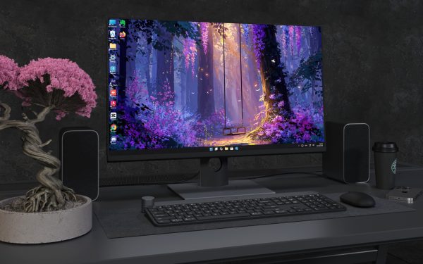 Desktop Wallpaper 3667 - Enchanted Forest Swing 4K Wallpaper