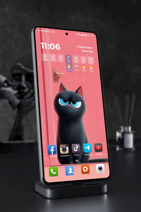 Phone Wallpaper 2849 - Grumpy Black Cat with Blue Eyes on Pink Background
