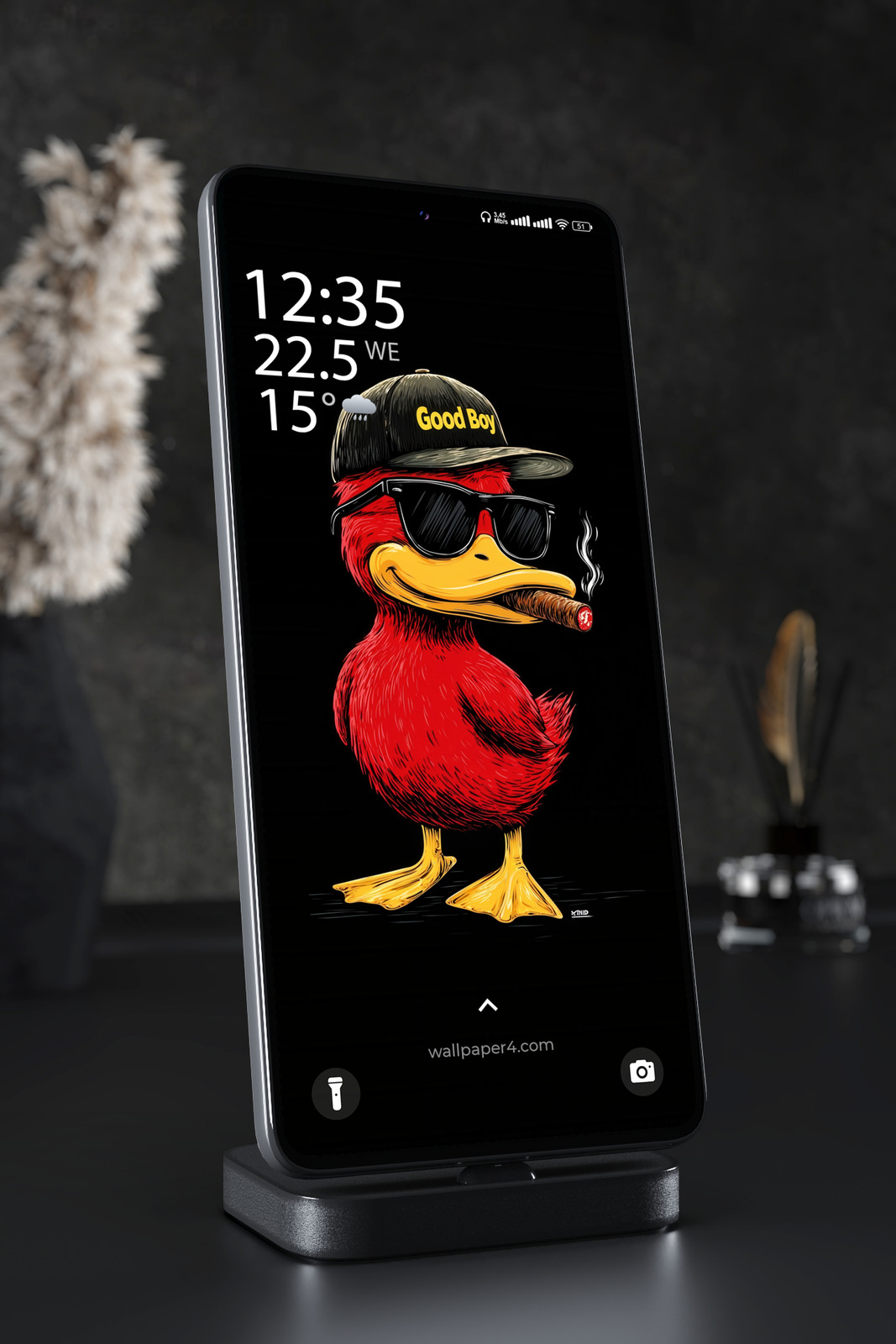 Phone Wallpaper 2874 - Cool Red Duck with Cigar Street Art