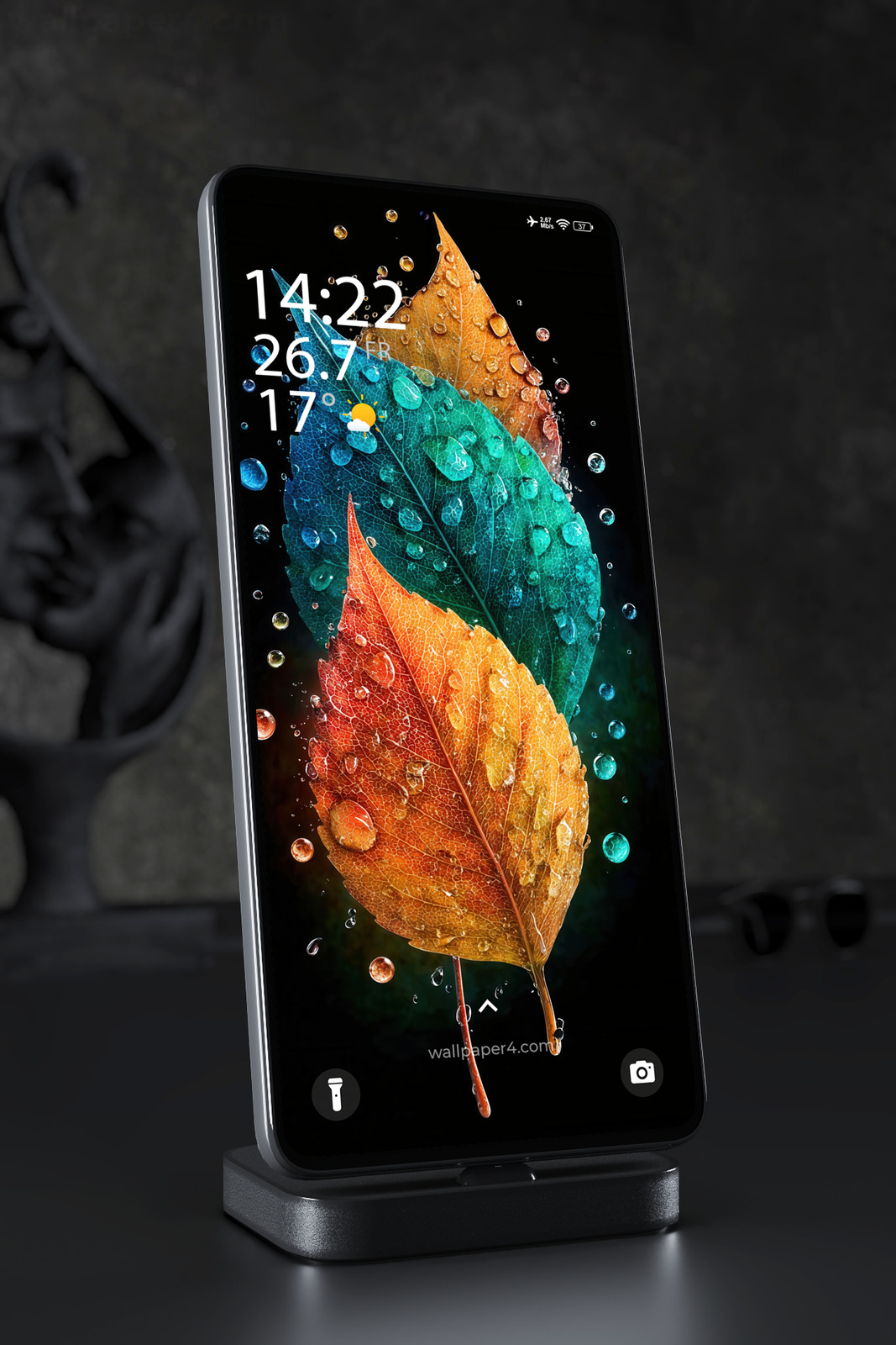 Phone Wallpaper 2979 - Colorful Dew Leaves on Dark Botanical Background