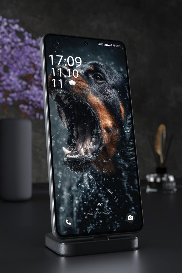 Phone Wallpaper 3048 - Aggressive Rottweiler Water Splash Portrait