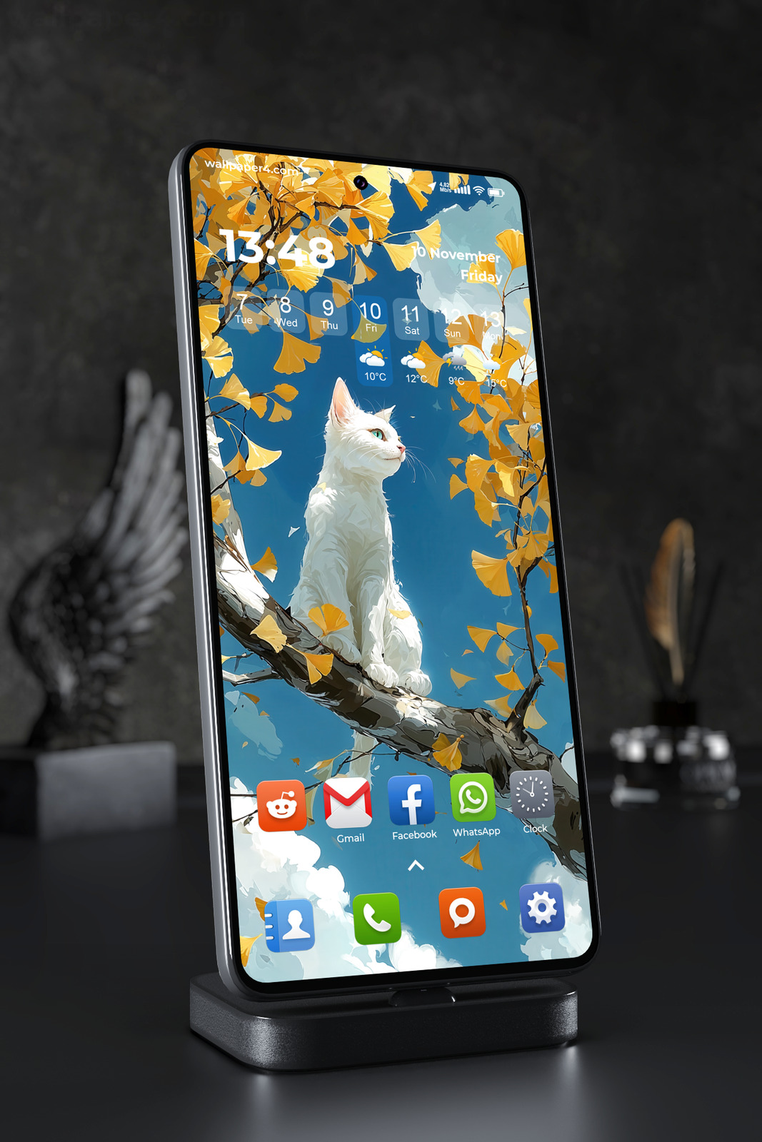 Phone Wallpaper 3215 - White Cat Among Golden Ginkgo Leaves