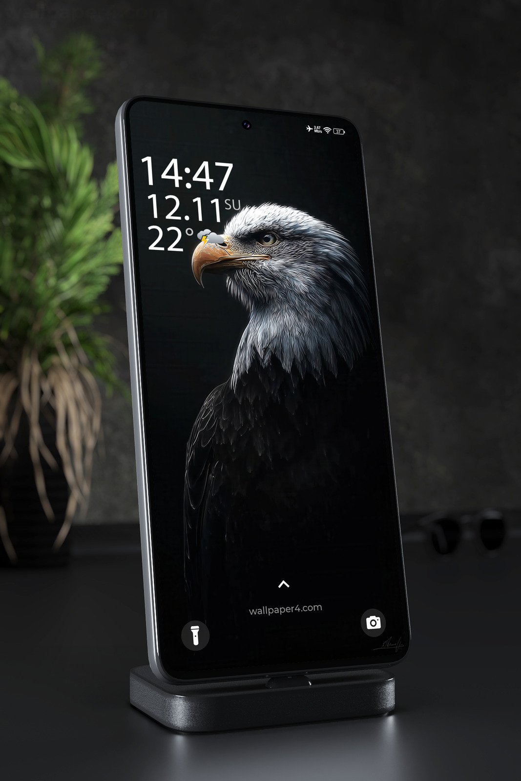 Phone Wallpaper 3418 - Majestic Bald Eagle Portrait in Dramatic Dark Light