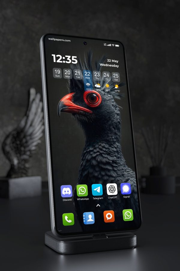Phone Wallpaper 3607 - Dark Crested Bird Portrait with Red Beak