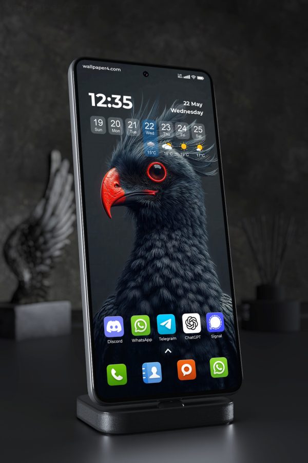 Mobile Wallpaper 3607 - Dark Crested Bird Portrait with Red Beak