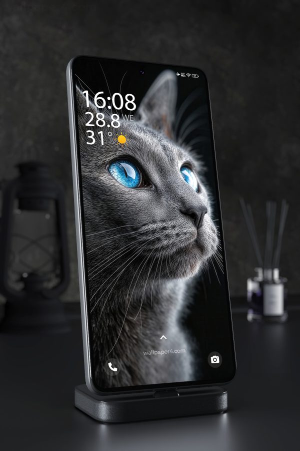 Phone Wallpaper 3694 - Blue Eyed Gray Cat Close-Up Portrait