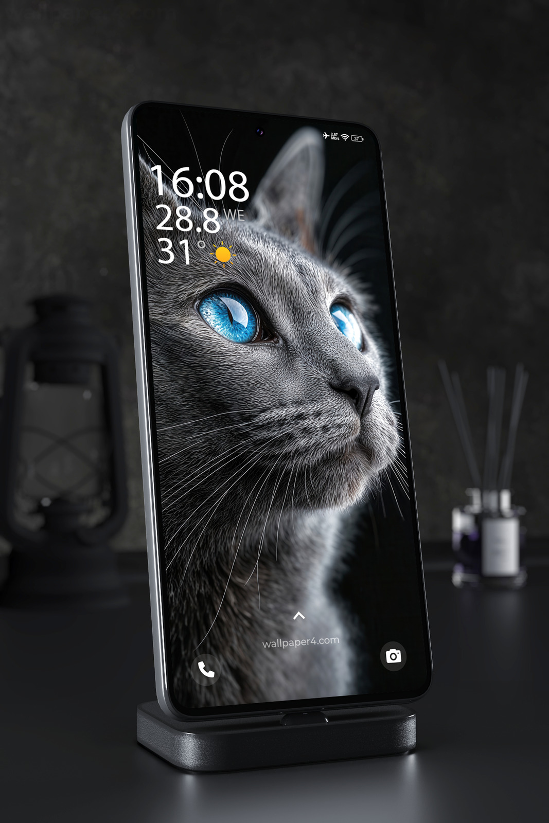 Phone Wallpaper 3694 - Blue Eyed Gray Cat Close-Up Portrait