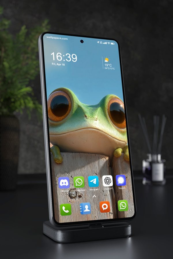 Phone Wallpaper 3747 - Cute Frog Peeking Over a Sunny Wooden Fence