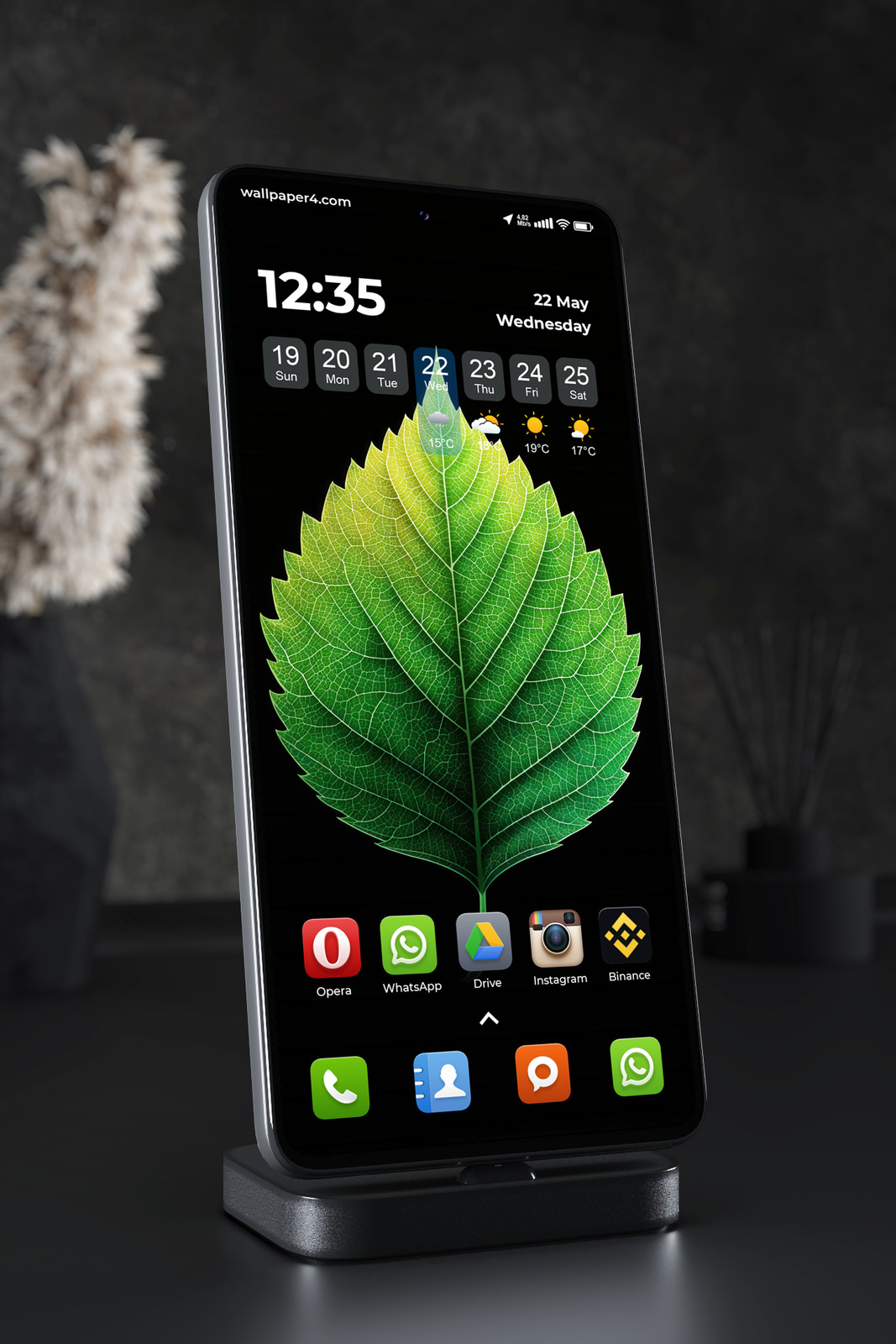 Phone Wallpaper 3937 - Glowing Green Leaf on Dark Minimal Background