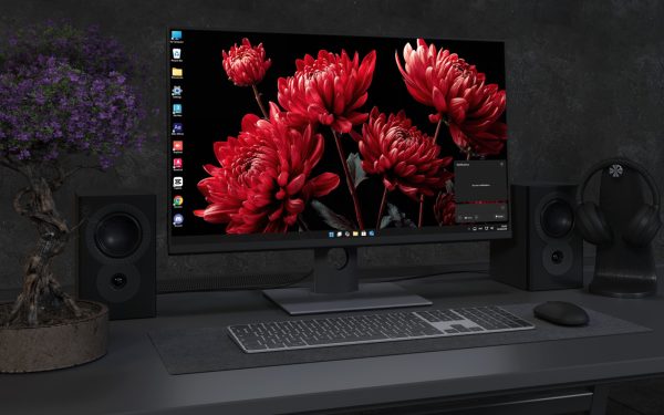 Desktop Wallpaper 4032 - Red Chrysanthemum Flowers on Black Wallpaper