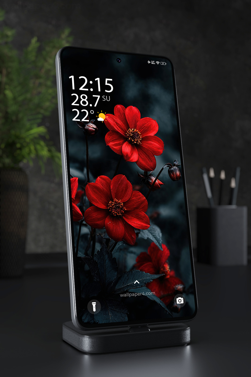 Phone Wallpaper 4029 - Dark Red Flowers Moody Floral Phone Background