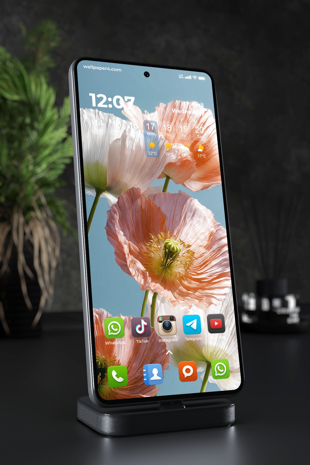 Mobile Wallpaper 4490 - Soft Pastel Poppy Flowers on Blue Sky