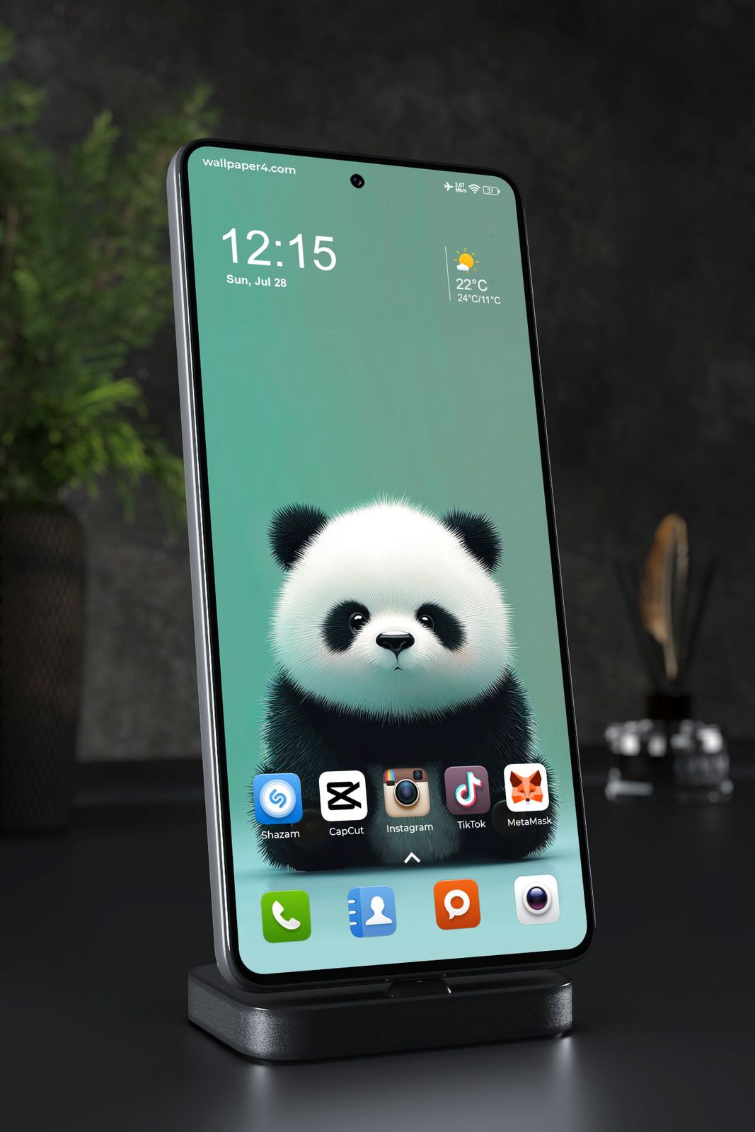 Mobile Wallpaper 4741 - Cute Fluffy Baby Panda on Soft Teal Background