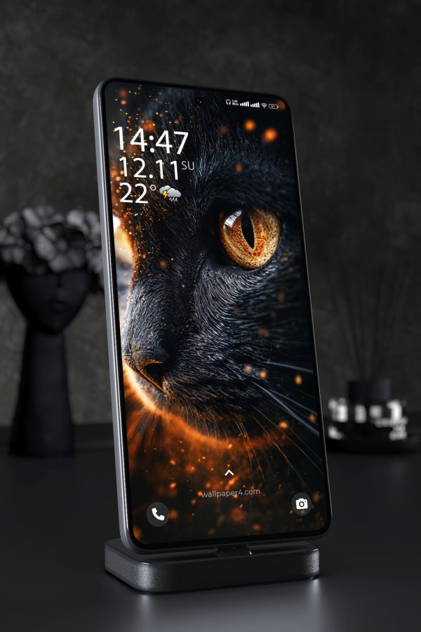 Phone Wallpaper 5604 - Black Cat with Fiery Golden Eye Close-Up