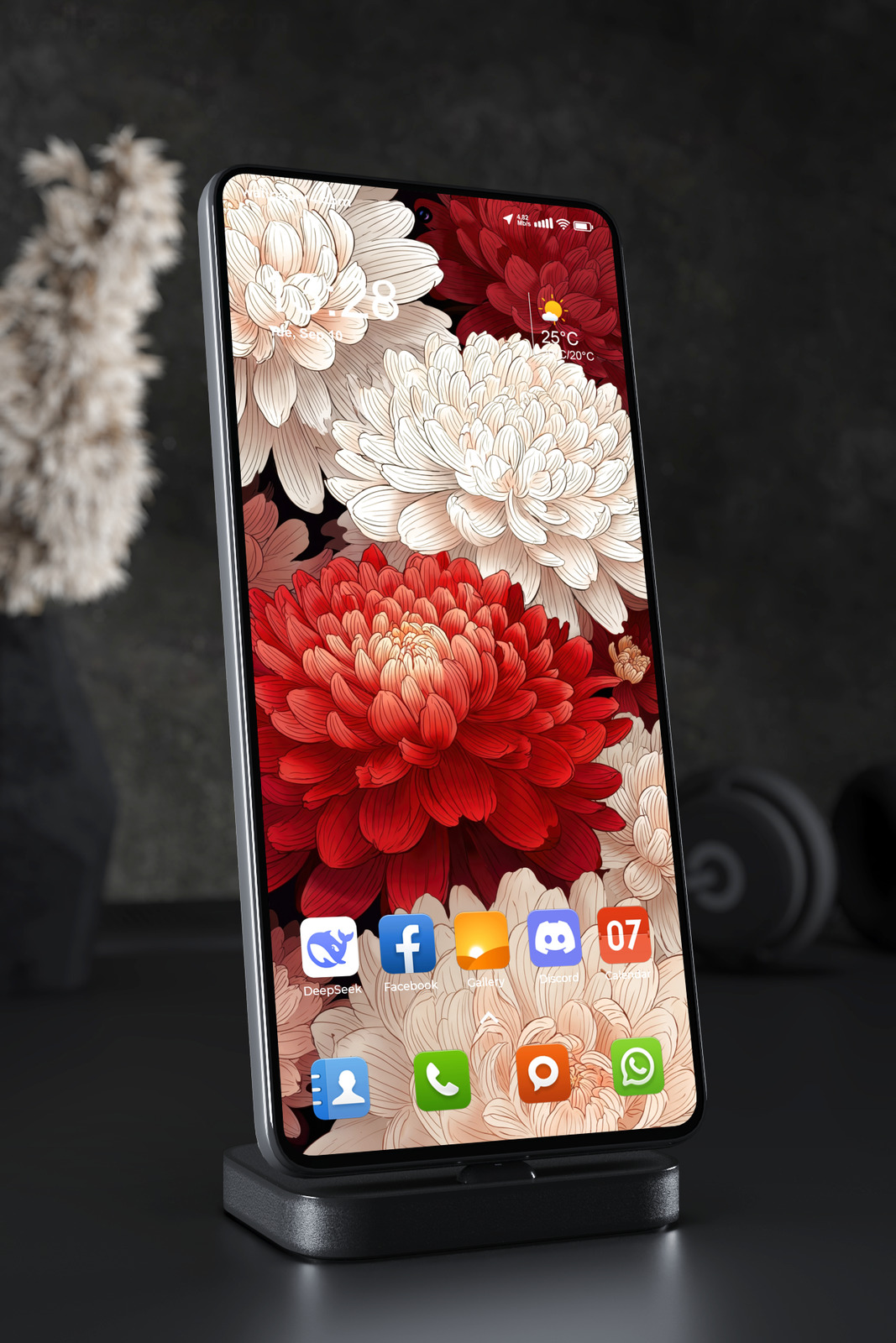 Phone Wallpaper 5681 - Elegant Red and White Chrysanthemum Floral Art