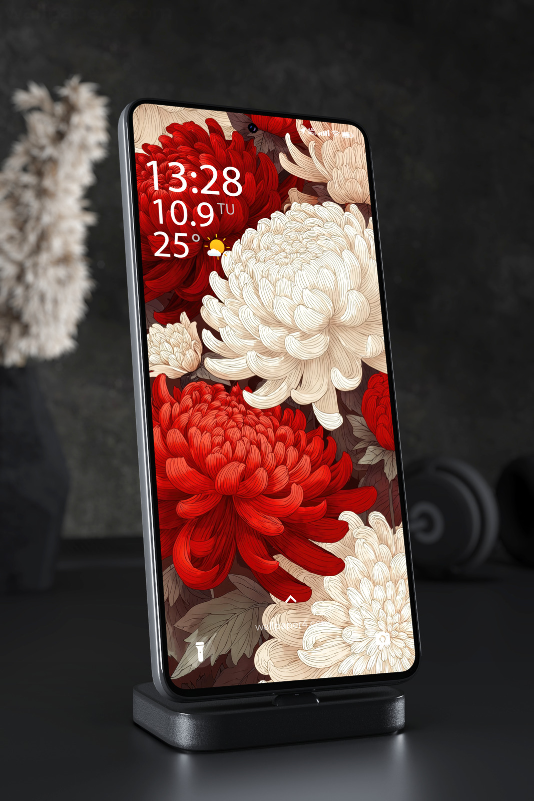 Mobile Wallpaper 5681 - Elegant Red and White Chrysanthemum Floral Art