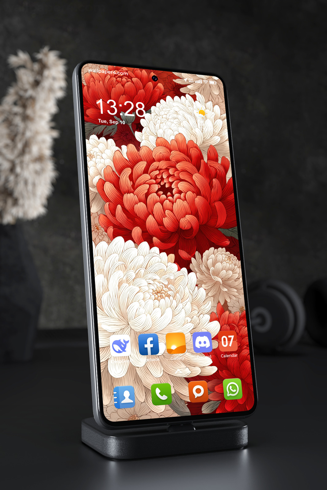 Mobile Wallpaper 5681 - Elegant Red and White Chrysanthemum Floral Art
