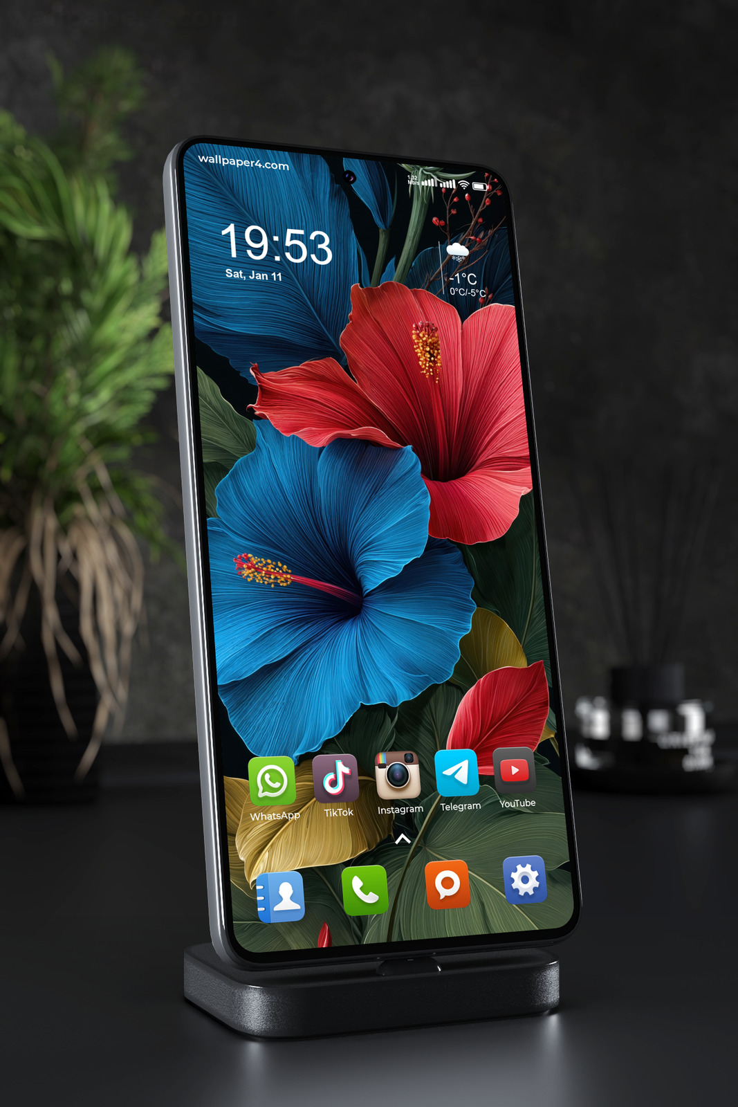 Mobile Wallpaper 5700 - Vibrant Red and Blue Hibiscus Floral Art