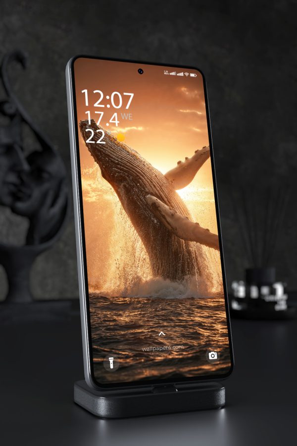 Phone Wallpaper 5938 - Majestic Humpback Whale at Golden Sunset