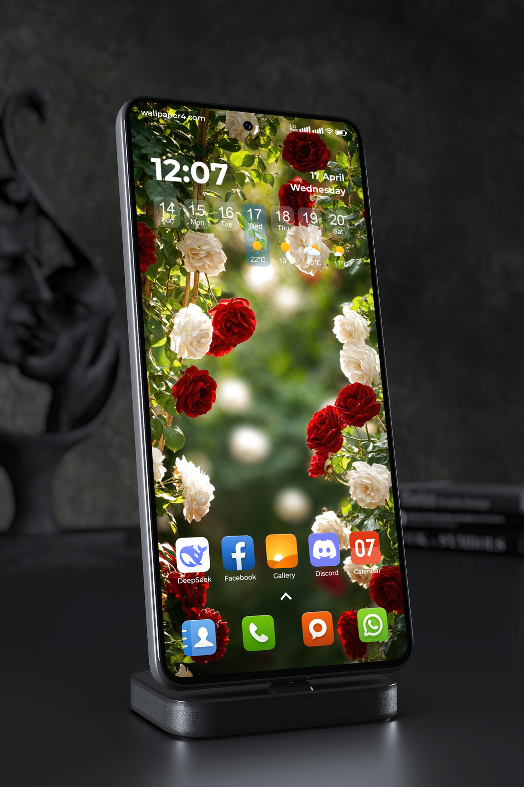 Phone Wallpaper 5994 - Sunlit Red and White Roses in a Summer Garden