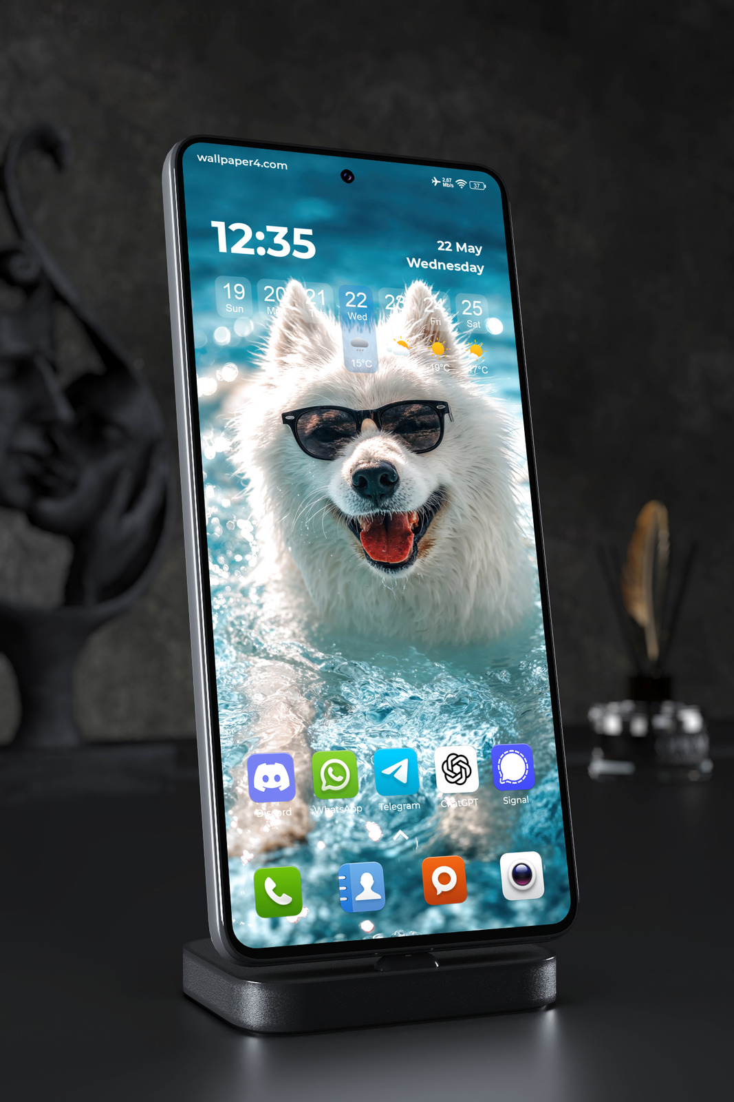 Phone Wallpaper 6041 - Cool White Dog Swimming in Turquoise Water