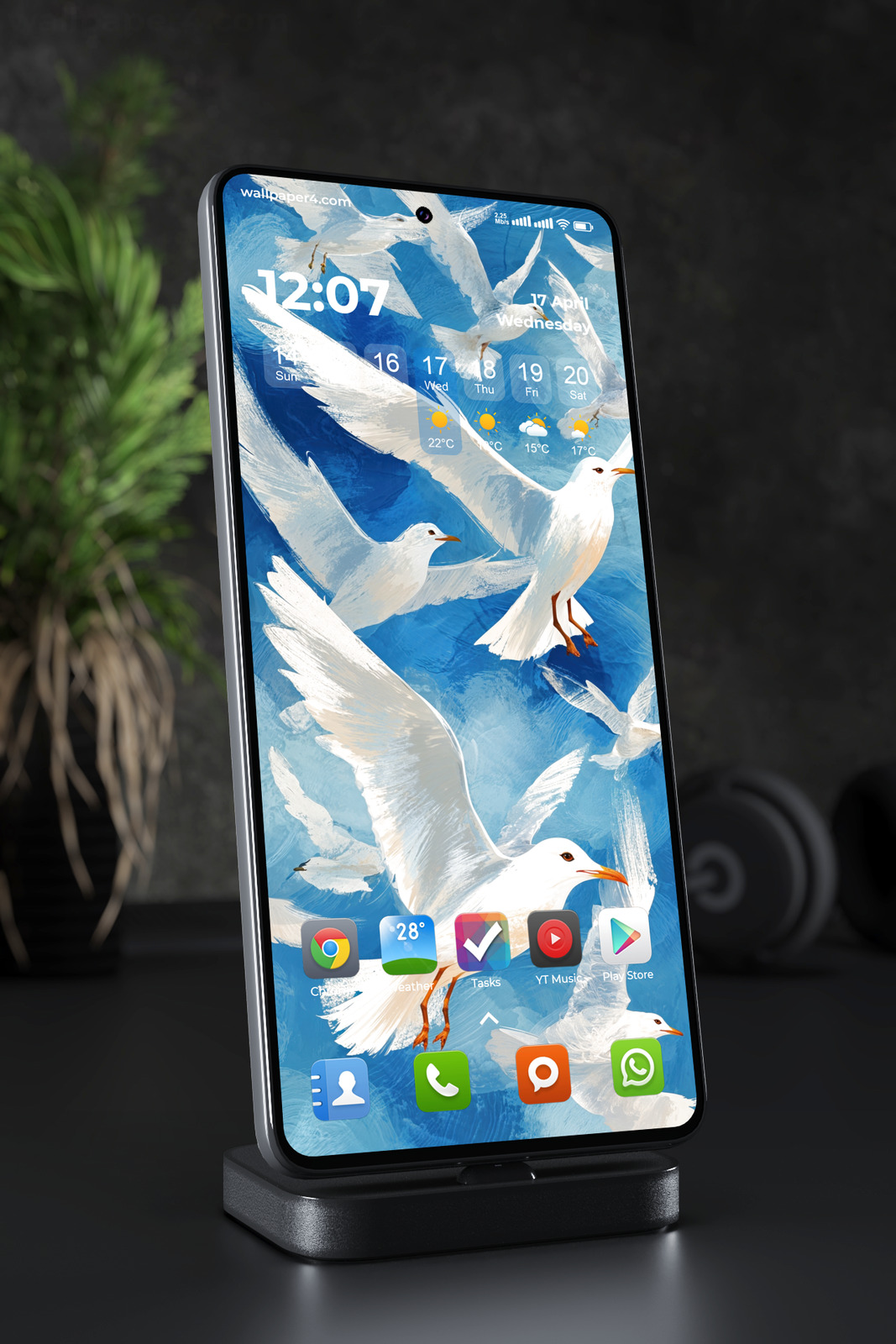 Phone Wallpaper 6108 - White Seagulls Flying Through a Blue Painted Sky