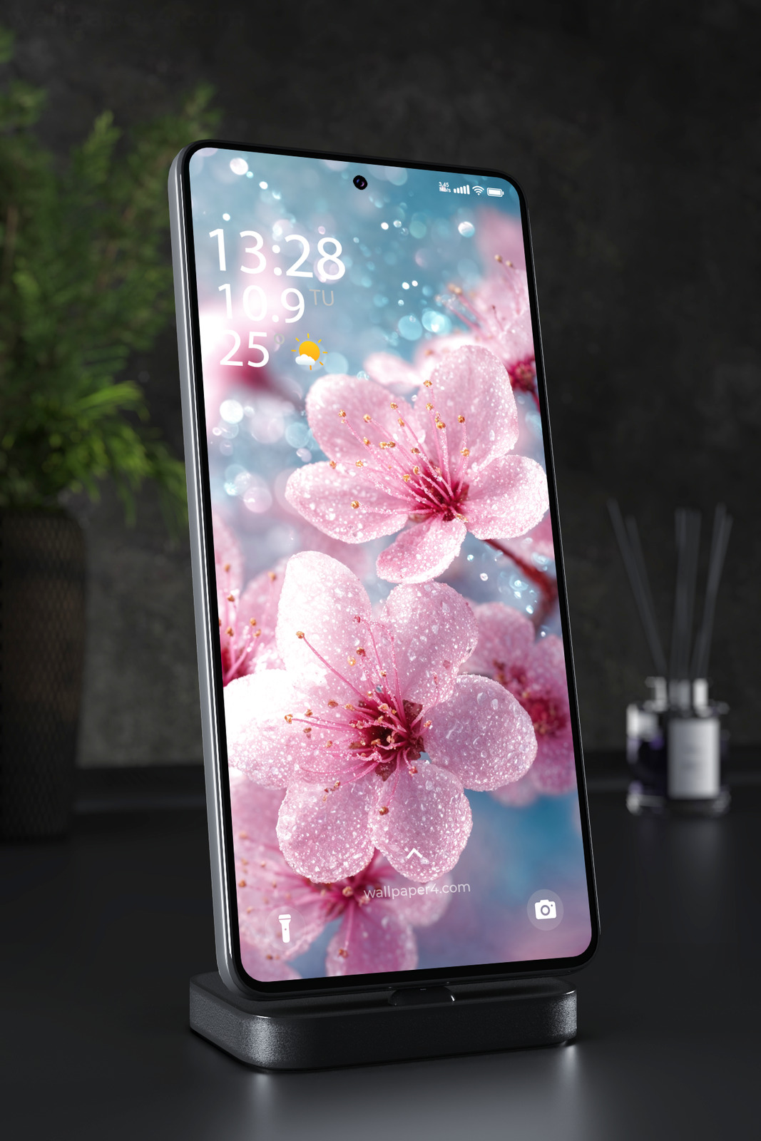 Phone Wallpaper 6152 - Pink Cherry Blossoms with Sparkling Dew