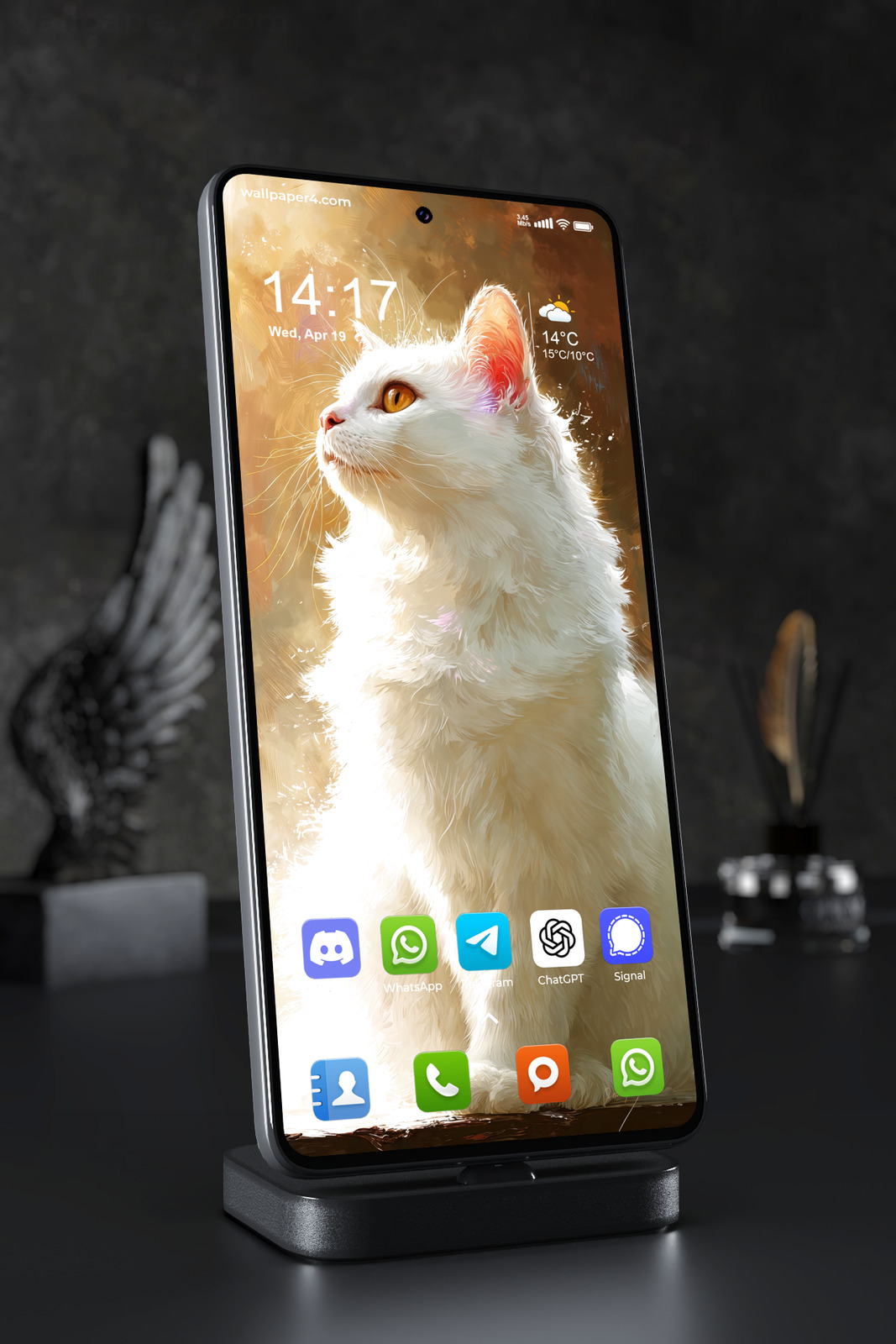 Mobile Wallpaper 6272 - White Cat Portrait in Golden Artistic Light