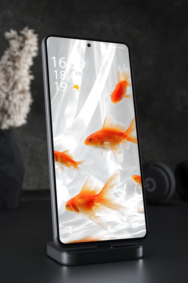 Phone Wallpaper 6293 - Elegant Orange Goldfish in Minimal Water Scene