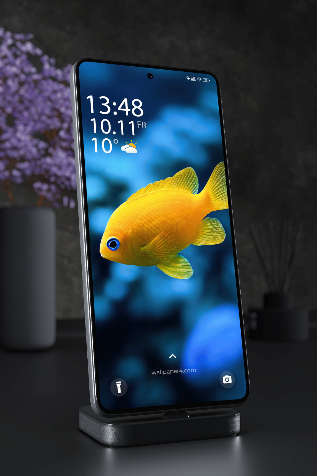 Phone Wallpaper 6512 - Yellow Tropical Fish in Deep Blue Ocean