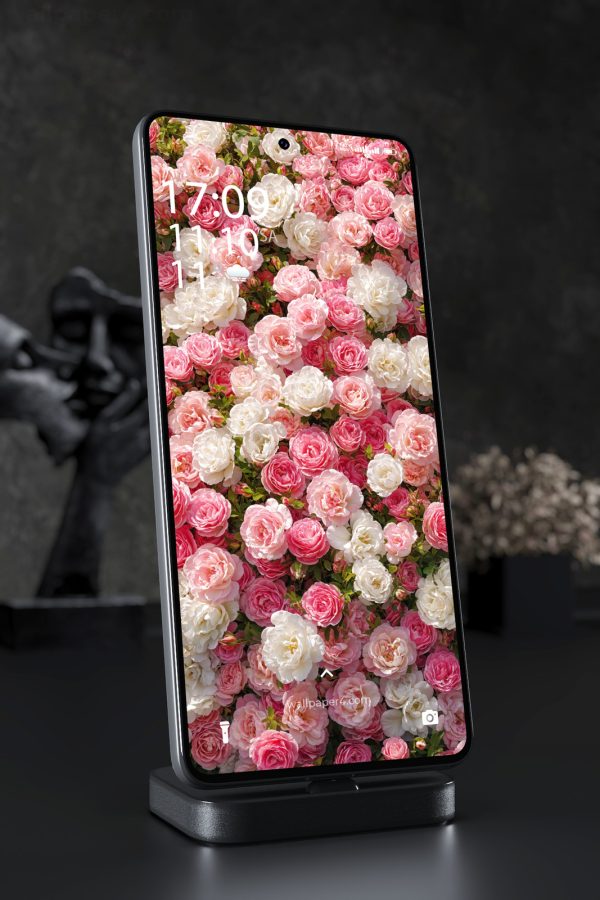 Phone Wallpaper 6858 - Pink and White Rose Garden Floral Background