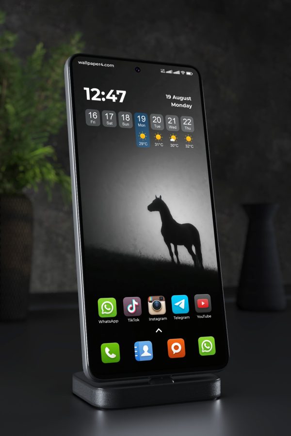Phone Wallpaper 7389 - Lone Horse Silhouette in the Misty Night