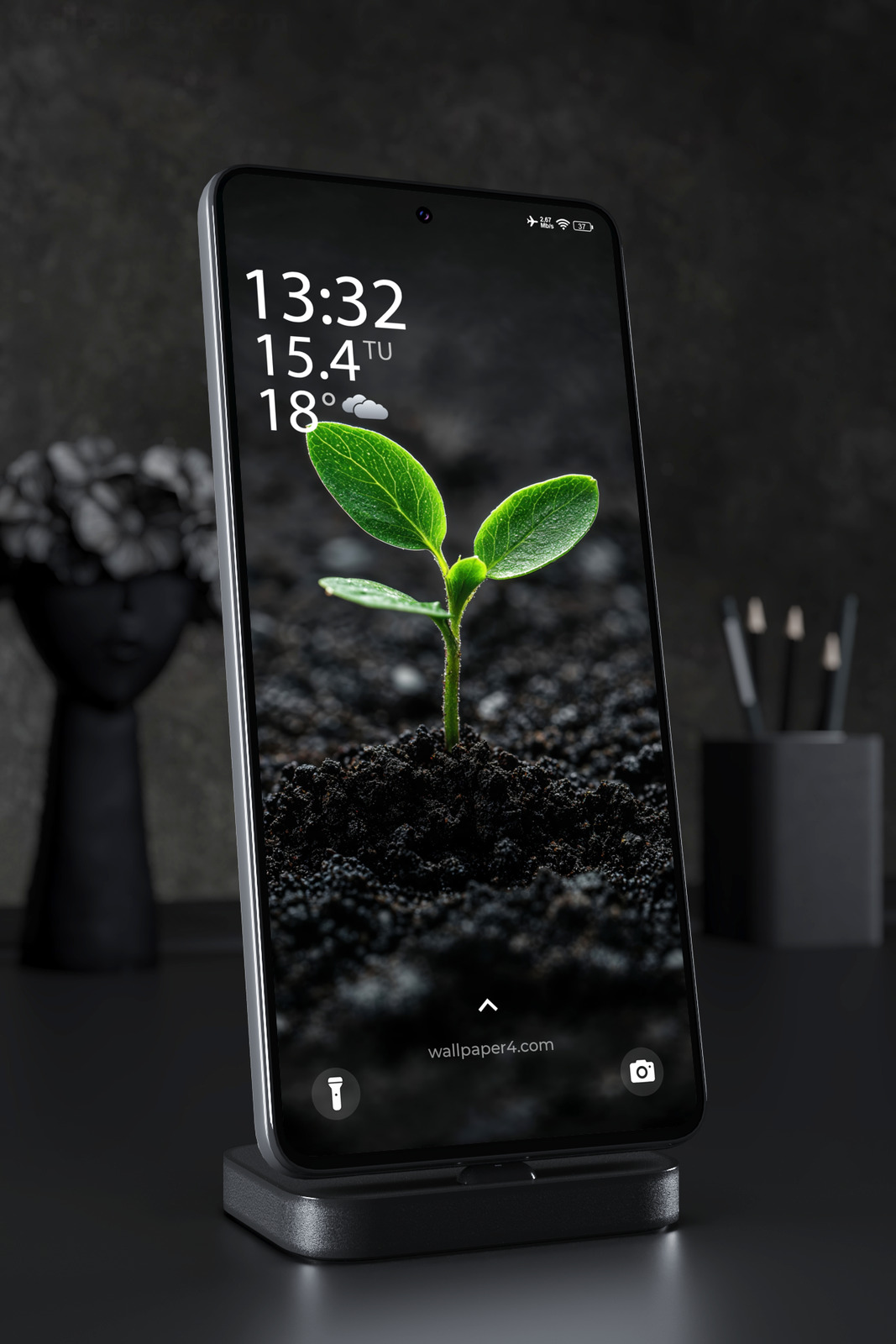 Mobile Wallpaper 7463 - Young Green Seedling Growing in Dark Soil