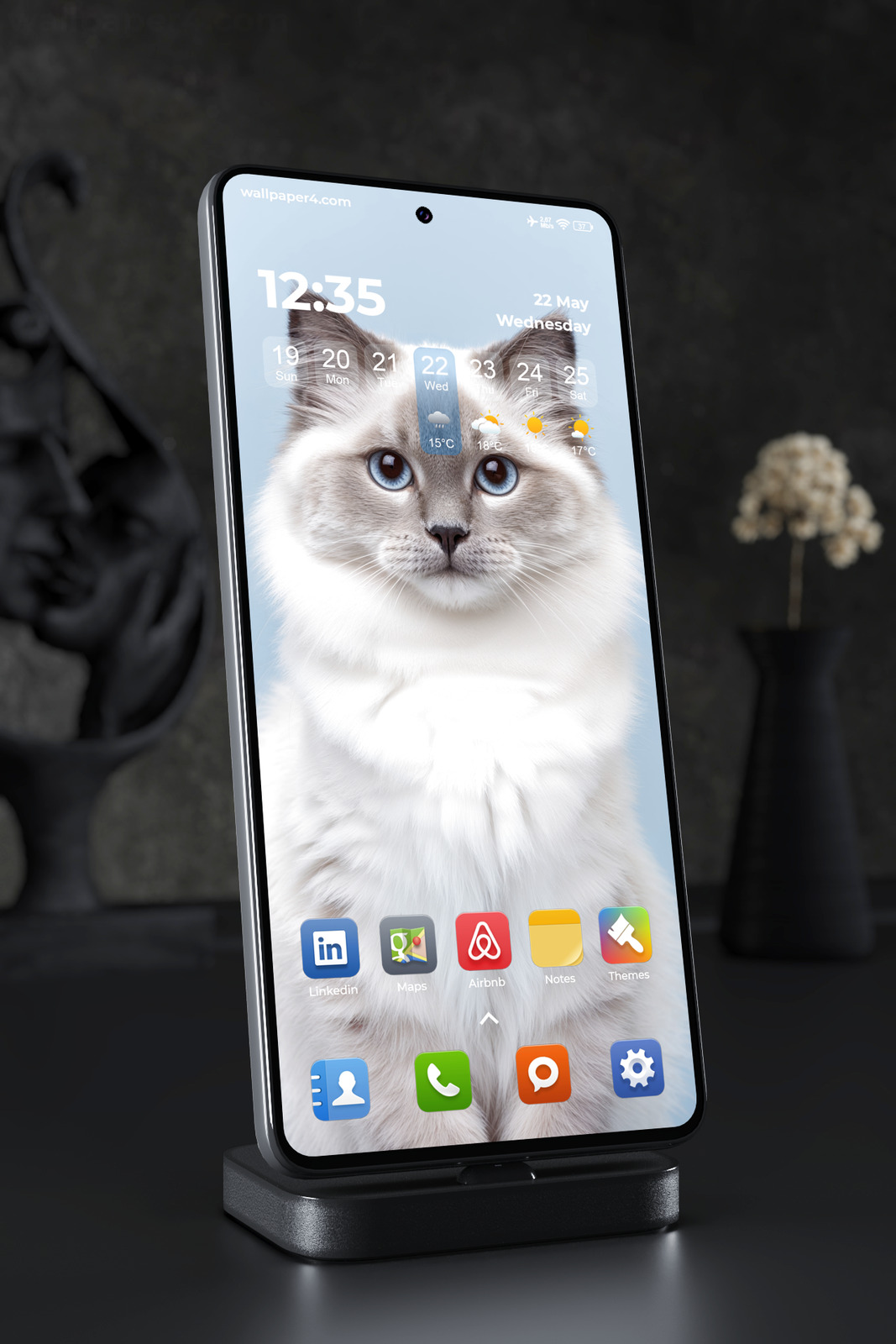 Phone Wallpaper 7580 - Blue-Eyed Ragdoll Cat Portrait on Soft Blue