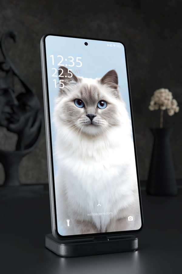 Mobile Wallpaper 7580 - Blue-Eyed Ragdoll Cat Portrait on Soft Blue