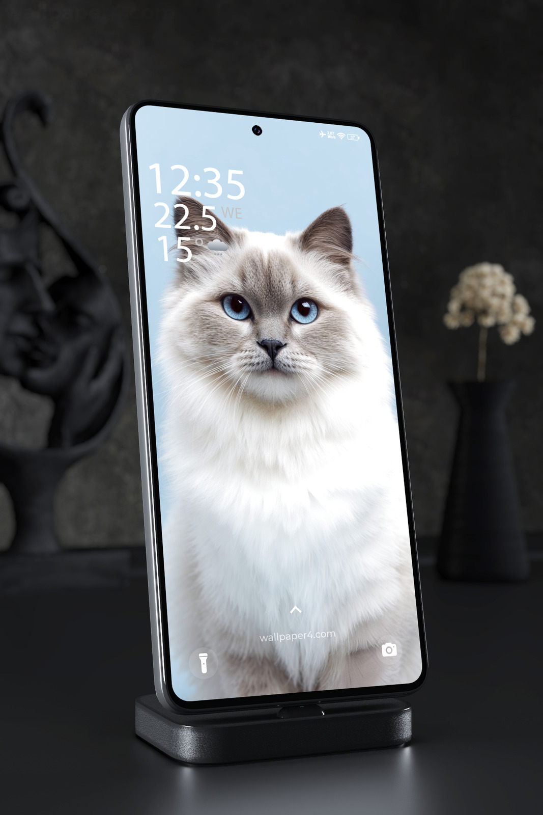 Mobile Wallpaper 7580 - Blue-Eyed Ragdoll Cat Portrait on Soft Blue