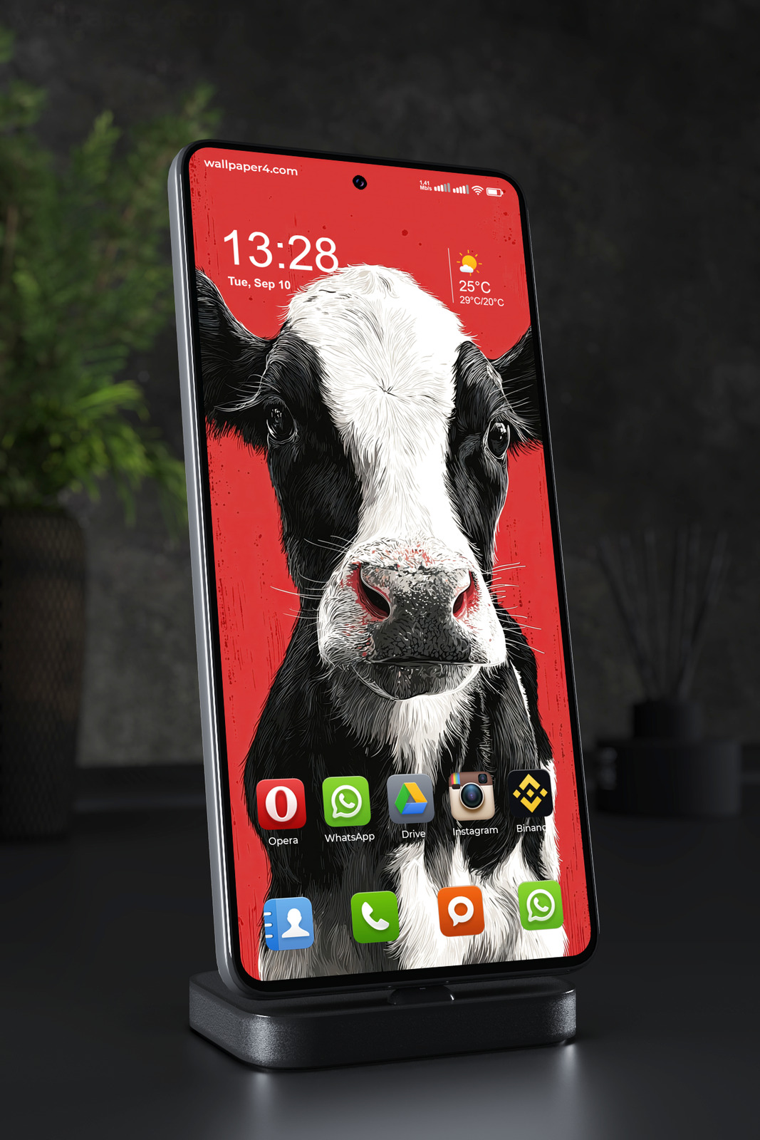 Mobile Wallpaper 7587 - Black and White Cow on Bold Red Background